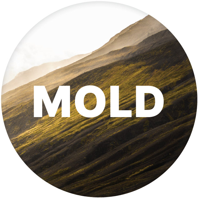 The Mold section -- Learn about mold illness and how your environment can affect your health, longevity, and recovery from illness.
