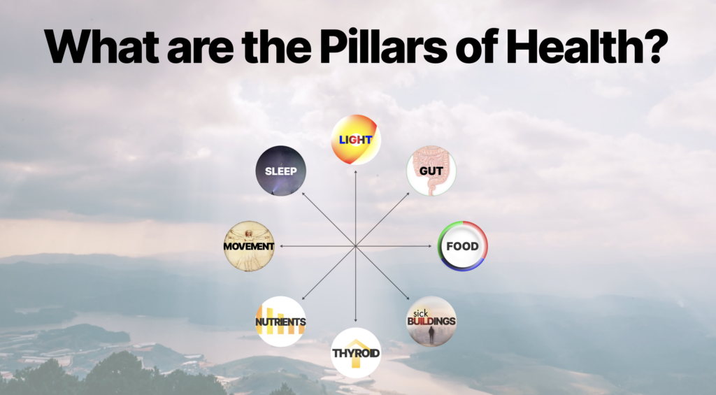 What Are The Pillars of Health?