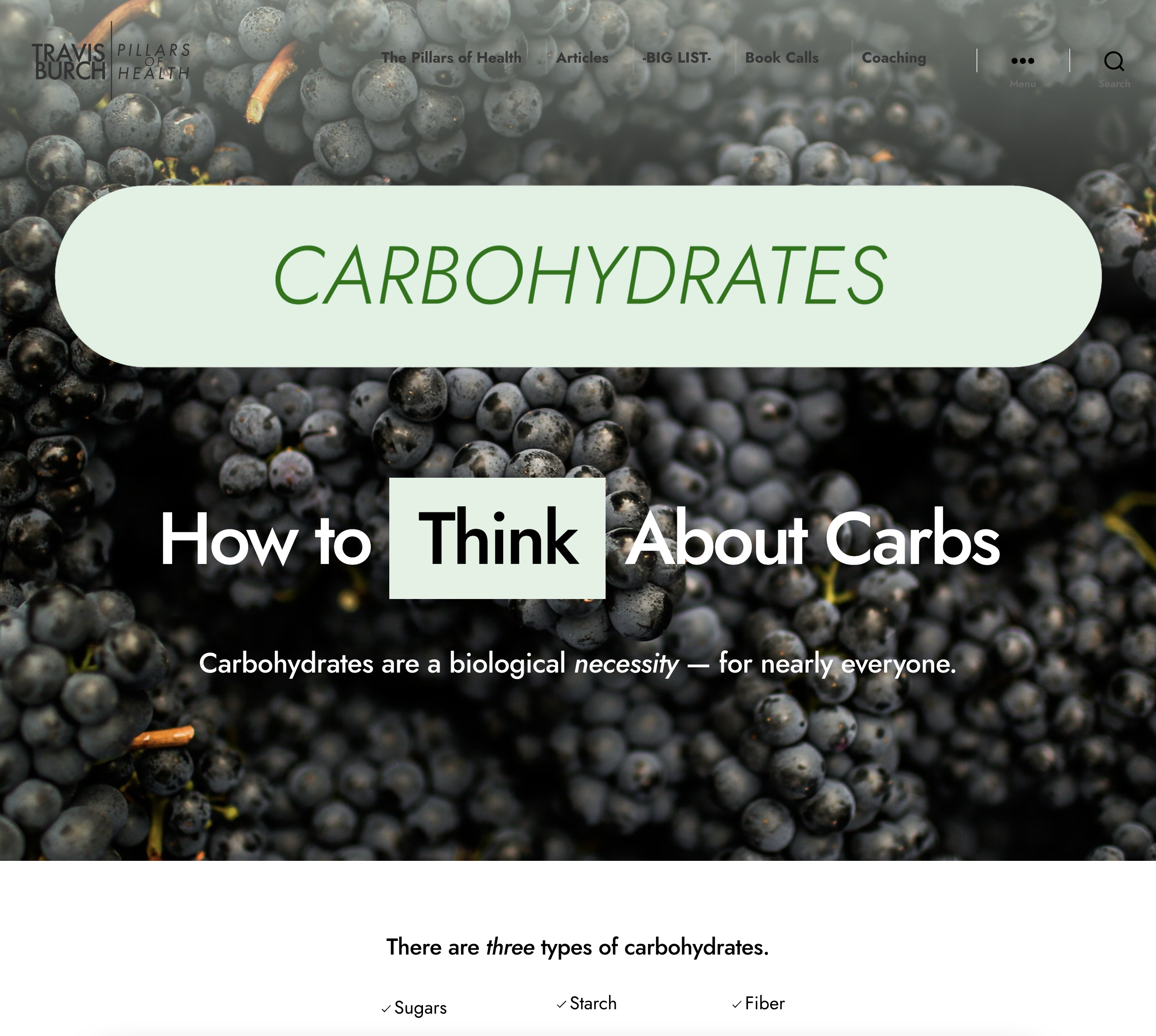 Carbohydrates Carbs
