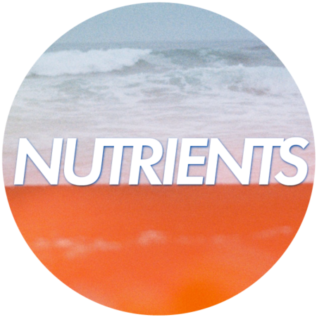 Pillars of Health - NUTRIENTS